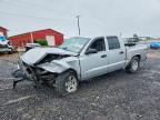 DODGE DAKOTA 2005