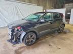 KIA NIRO 2026