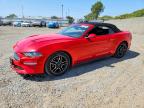 FORD MUSTANG 2021