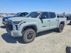 TOYOTA TUNDRA 2024