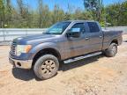 FORD F-150 2010