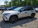 TOYOTA RAV4 2020
