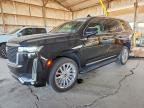 CADILLAC ESCALADE 2024