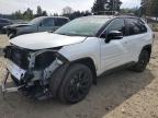 TOYOTA RAV4 2024
