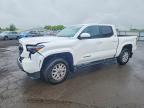 TOYOTA TACOMA 2026