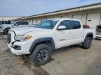 TOYOTA TACOMA 2020