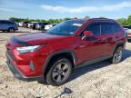 TOYOTA RAV4 2024