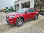 TOYOTA RAV4 HYBRID 2025
