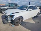 LEXUS IS 2019