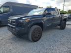 TOYOTA TACOMA 2025