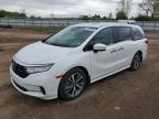HONDA ODYSSEY 2023
