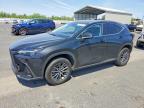 LEXUS NX 2022
