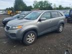 KIA SORENTO 2011