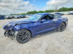 FORD MUSTANG 2019