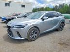 LEXUS RX 2023