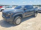 TOYOTA TACOMA 2025