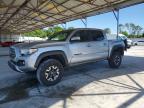 TOYOTA TACOMA 2019