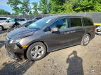 HONDA ODYSSEY 2019