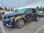 CADILLAC XT6 2024