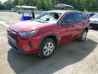TOYOTA RAV4 2024