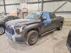 TOYOTA TUNDRA 2023