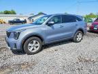 KIA SORENTO 2025