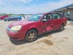 CHEVROLET MALIBU 2005