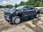 TOYOTA TACOMA 2024