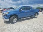 CHEVROLET SILVERADO 2024