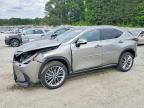 LEXUS NX 2023