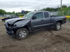 TOYOTA TACOMA 2021