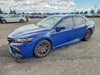 TOYOTA CAMRY 2023