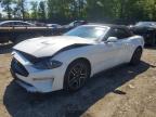 FORD MUSTANG 2022