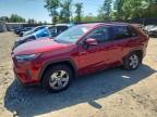 TOYOTA RAV4 HYBRID 2025