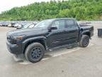 TOYOTA TACOMA 2025