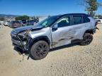 TOYOTA RAV4 2024