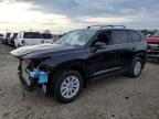 TOYOTA GRAND HIGHLANDER HYBRID 2026