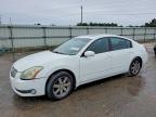 NISSAN MAXIMA 2004
