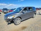 VOLKSWAGEN ROUTAN 2010