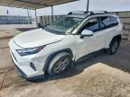 TOYOTA RAV4 2025
