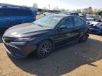 TOYOTA CAMRY 2023