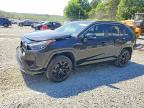 TOYOTA RAV4 2024