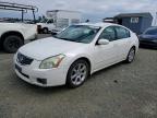 NISSAN MAXIMA 2007