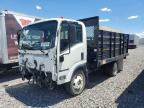 ISUZU NPR HD 2019