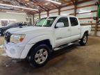 TOYOTA TACOMA 2005