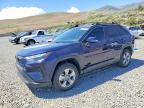 TOYOTA RAV4 2025