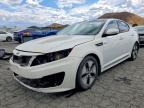 KIA OPTIMA 2013