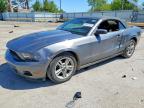 FORD MUSTANG 2010