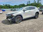 LEXUS NX 2022
