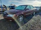 HYUNDAI SONATA 2008